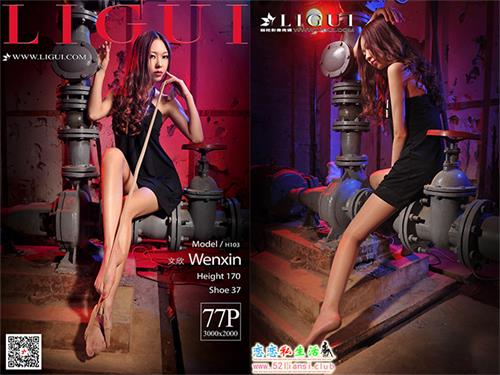 [Ligui丽柜] 2020.05.28 网络丽人 Model 文欣【78P/71M】视频下载