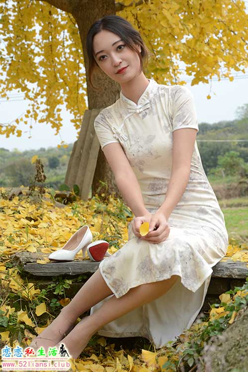 [初夏女神]132期 依依~【寒冬旗袍风】桔子红了、银杏树也披上了黄金战甲(带视频)【140P+1V/3.27G】